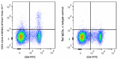 Brilliant Violet 421™ anti-mouse CD25 Antibody (113705)