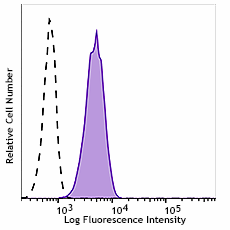 PE anti-human ROR2 Antibody (378503)