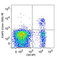 PE anti-mouse/rat/human FOXP3 Antibody (320007)