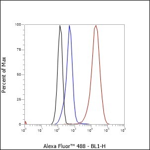 Recombinant Phospho-BTK (Tyr551) Monoclonal Antibody (AN302103L)