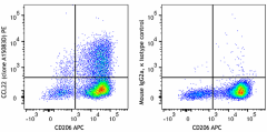 PE anti-human CCL22 Antibody (694407)