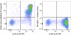 PE/Cyanine7 anti-mouse CD182 (CXCR2) Antibody (149315)