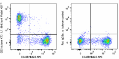 Brilliant Violet 421™ anti-mouse CD3ε Antibody (155617)