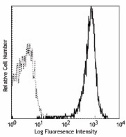 Purified anti-mouse H-2D b Antibody (111502)
