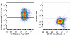 PE/Fire™ 700 anti-mouse CD206 (MMR) Antibody (141741)