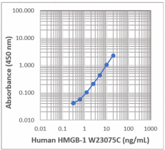 Purified anti-human HMGB-1 Antibody (612154)