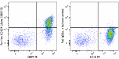 Purified anti-mouse CD129 (IL-9R) Antibody (158702)