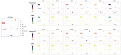 TotalSeq™-A Human Essential Cocktail, V1.0 (399913)