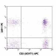 PE anti-human CX3CR1 Antibody (341603)