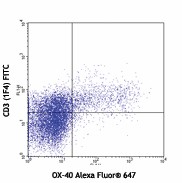 Alexa Fluor® 647 anti-rat CD134 (OX-40) Antibody (204510)