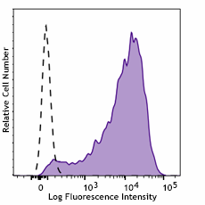 PE anti-human CD90 (Thy1) Antibody (389807)