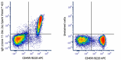 Spark Violet™ 423 anti-mouse IgD Antibody (405753)