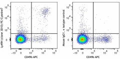 PE/Cyanine7 anti-mouse Ly49H Antibody (144713)
