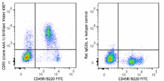 Brilliant Violet 650™ anti-mouse CD93 (AA4.1, early B lineage) Antibody (136517)