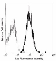 PE anti-human CD255 (TWEAK) Antibody (308305)