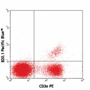 Pacific Blue™ anti-mouse TCR Vα2 Antibody (127815)
