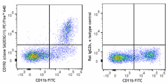 PE/Fire™ 640 anti-mouse CD192 (CCR2) Antibody (150639)