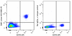 PE anti-human EMR1 Antibody (377120)