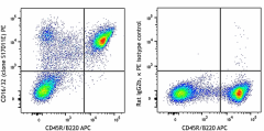 PE anti-mouse CD16/32 Antibody (156605)