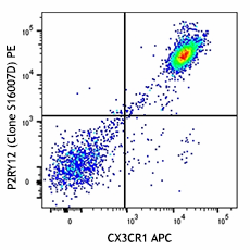 PE anti-mouse P2RY12 Antibody (848003)