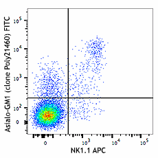 FITC anti-Asialo-GM1 Antibody (146005)