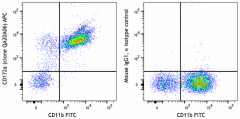 APC anti-mouse CD172a (SIRPα) Recombinant Antibody (108605)