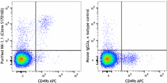 Purified anti-mouse NK-1.1 Antibody (156502)