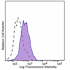 Purified anti-human TMPRSS2 Antibody (378402)