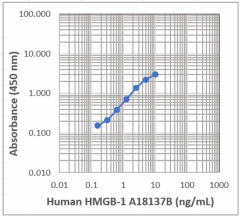 Biotin anti-human HMGB-1 Antibody (612156)