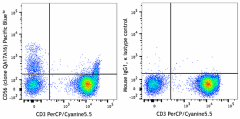 Pacific Blue™ anti-human CD56 (NCAM) Recombinant Antibody (392415)