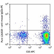 Purified anti-human CD198 (CCR8) Antibody (360602)