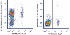 PE/Dazzle™ 594 anti-human GPR183 (EBI2) Antibody (368917)