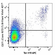 Brilliant Violet 421™ anti-mouse CD71 Antibody (113813)