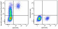 Spark PLUS UV395™ anti-human HLA-DR Antibody (307662)