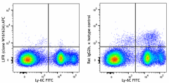 APC anti-mouse LIFR Antibody (158905)