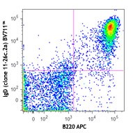 Brilliant Violet 711™ anti-mouse IgD Antibody (405731)