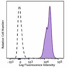 PE/Cyanine7 anti-mouse H-2Kb Antibody (116519)
