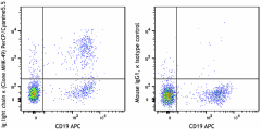 PerCP/Cyanine5.5 anti-human Ig light chain κ Antibody (316516)