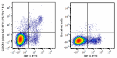 PE/Fire™ 810 anti-mouse CX3CR1 Antibody (149057)