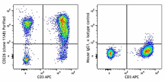 Purified anti-human CD226 (DNAM-1) Antibody (338302)