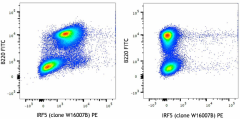 PE anti-mouse IRF5 Antibody (158603)