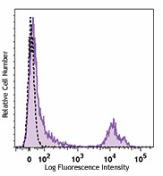 PE anti-rat CD71 (transferrin receptor) Antibody (204410)
