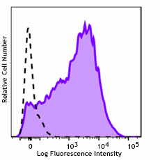 PE/Fire™ 744 anti-mouse Ly-6A/E (Sca-1) Antibody (108161)