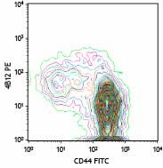 PE anti-mouse CD197 (CCR7) Antibody (120105)