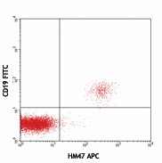 APC anti-human CD79a (Igα) Antibody (333505)