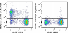 APC/Fire™ 750 anti-mouse/rat/human CD27 Antibody (124237)