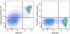 FITC anti-mouse CD38 Antibody (165607)