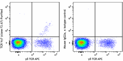 Purified anti-mouse TCR Vγ7 Antibody (161702)