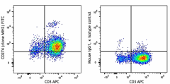 FITC anti-human CD274 (B7-H1, PD-L1) Antibody (393605)