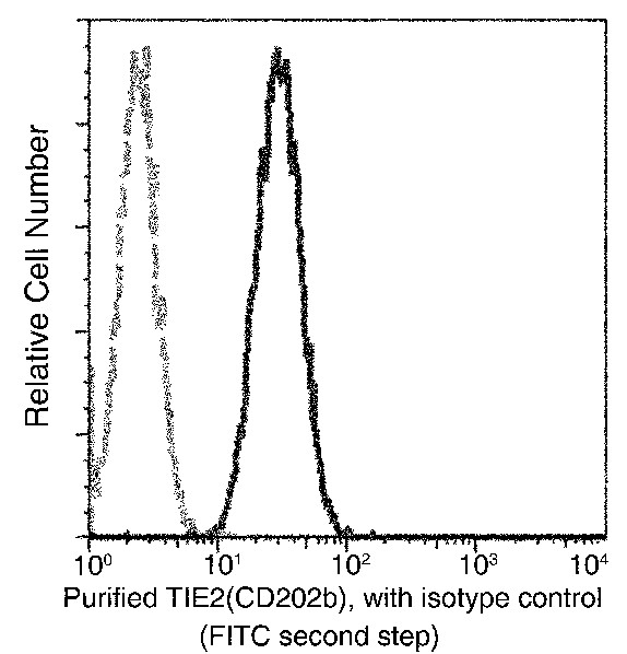 Recombinant Tie2/CD202b/TEK Monoclonal Antibody (AN300201P)